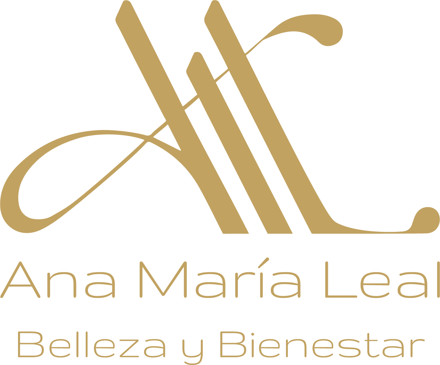 Logo y descriptor color principal - ana maria leal orenes